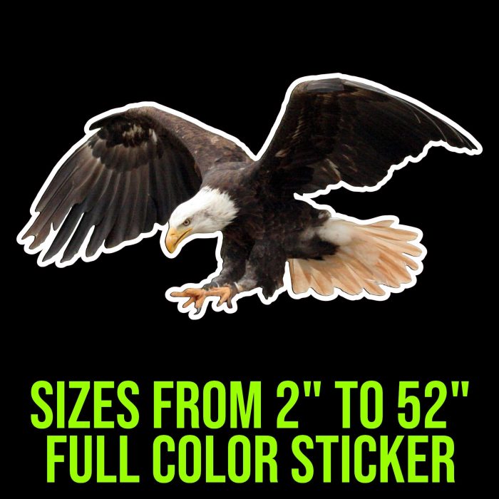 Eagle Full Color Vinyl Decal - Custom Size - Up to 52 inches