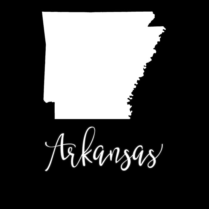 State of Arkansas- Custom Size - Up to 24 inches - Image 8