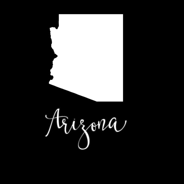 State of Arizona - Custom Size - Up to 24 inches - Image 9