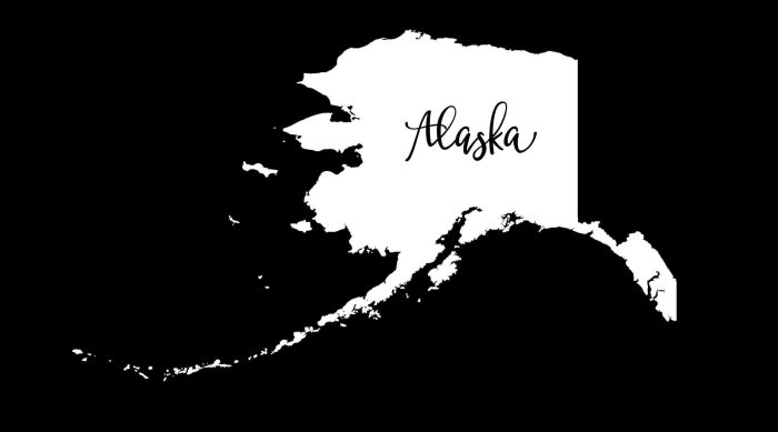 State of Alaska - Custom Size - Up to 24 inches - Image 10