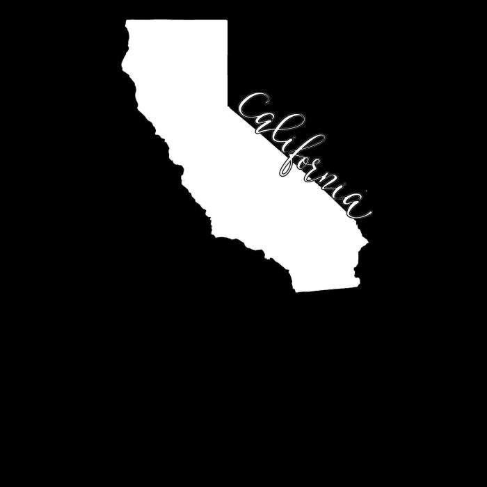 State of California - Custom Size - Up to 24 inches - Image 8