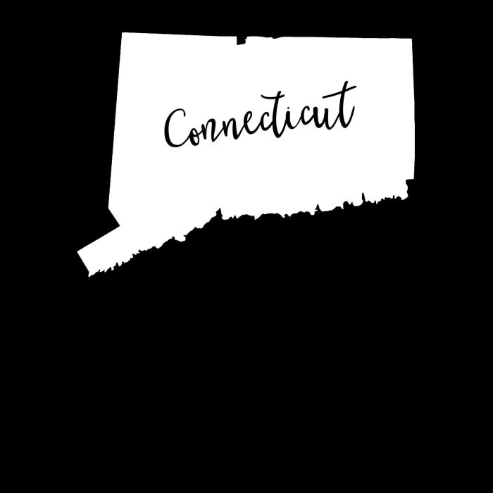 State of Connecticut - Custom Size - Up to 24 inches - Image 10