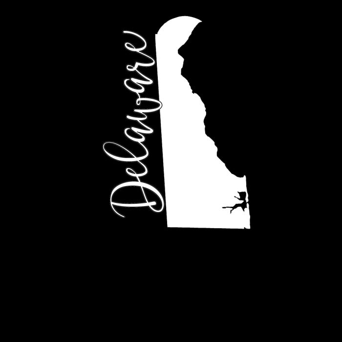 State of Delaware Vinyl Decal - Custom Size - Up to 24 inches - Image 8