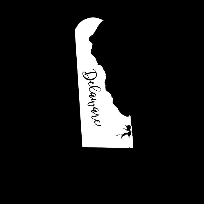 State of Delaware Vinyl Decal - Custom Size - Up to 24 inches - Image 10