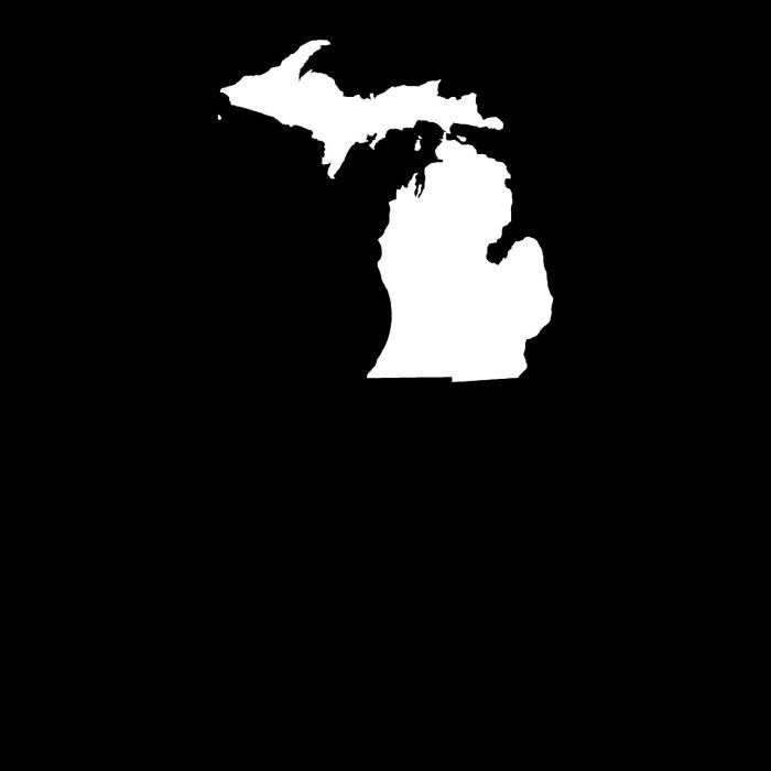 State of Michigan - Up to 24 inches - Image 9