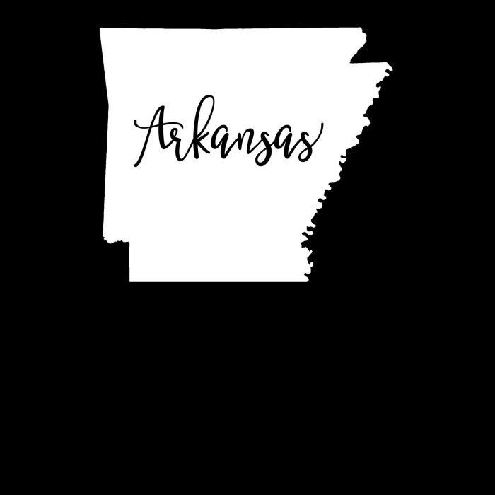 State of Arkansas- Custom Size - Up to 24 inches - Image 9