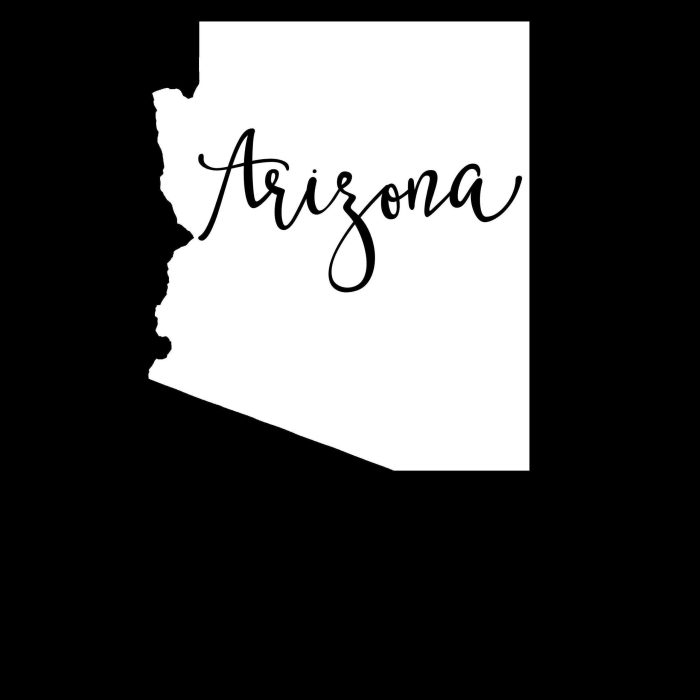 State of Arizona - Custom Size - Up to 24 inches - Image 8