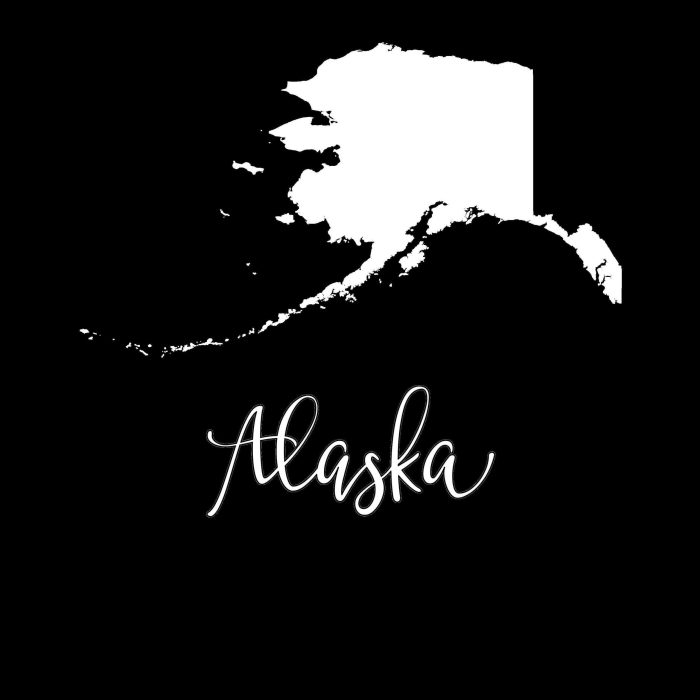 State of Alaska - Custom Size - Up to 24 inches - Image 8