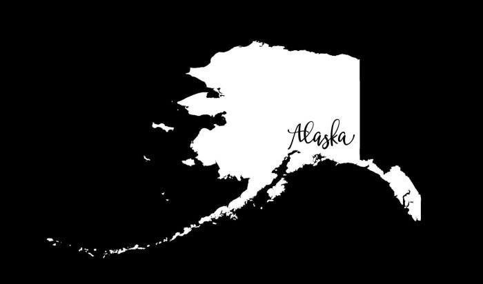 State of Alaska - Custom Size - Up to 24 inches - Image 9