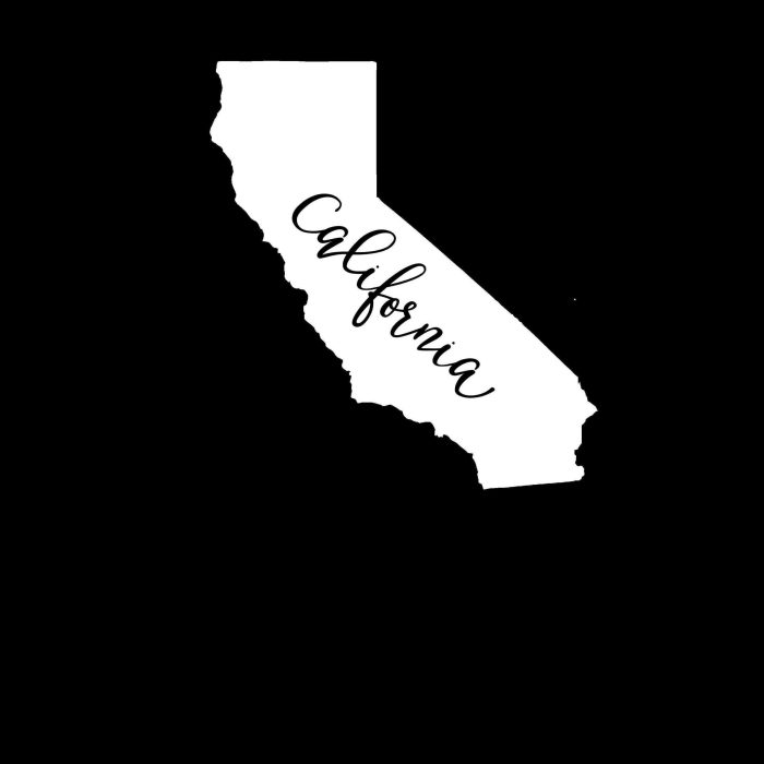 State of California - Custom Size - Up to 24 inches - Image 9