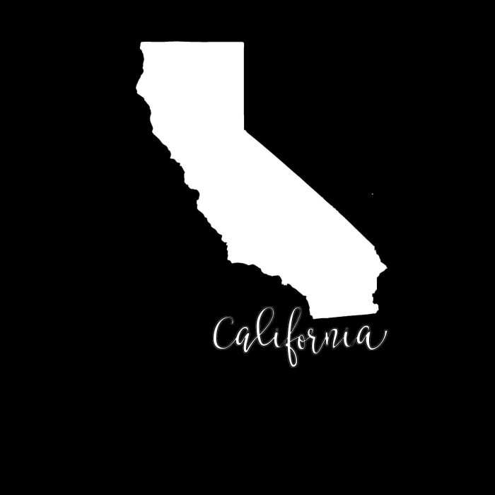 State of California - Custom Size - Up to 24 inches - Image 10