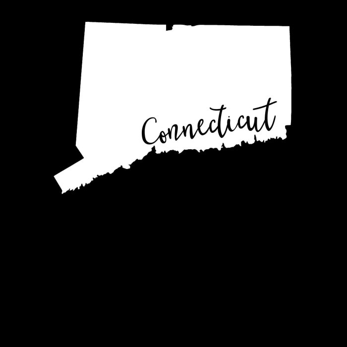 State of Connecticut - Custom Size - Up to 24 inches - Image 9