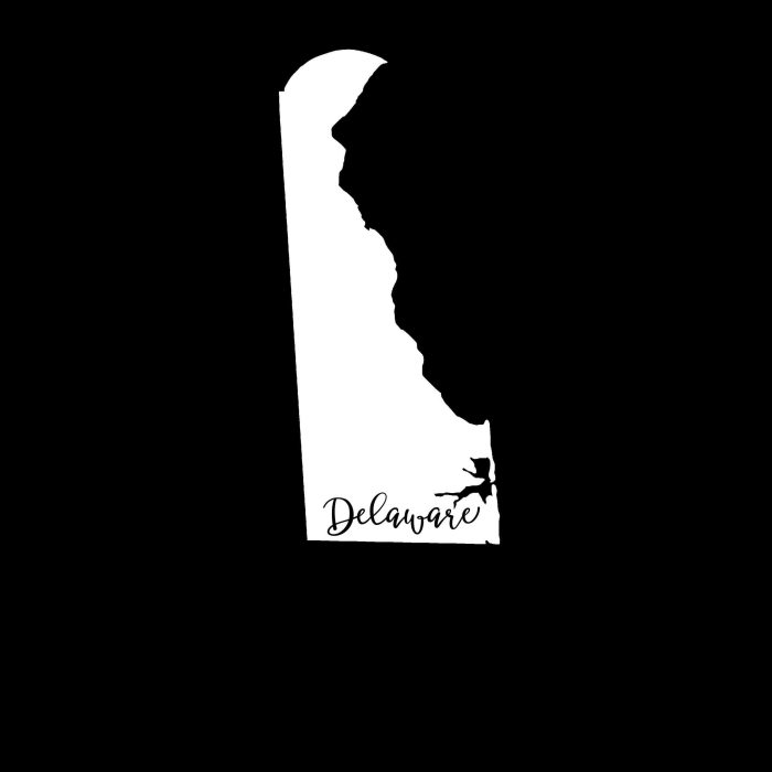 State of Delaware Vinyl Decal - Custom Size - Up to 24 inches - Image 9