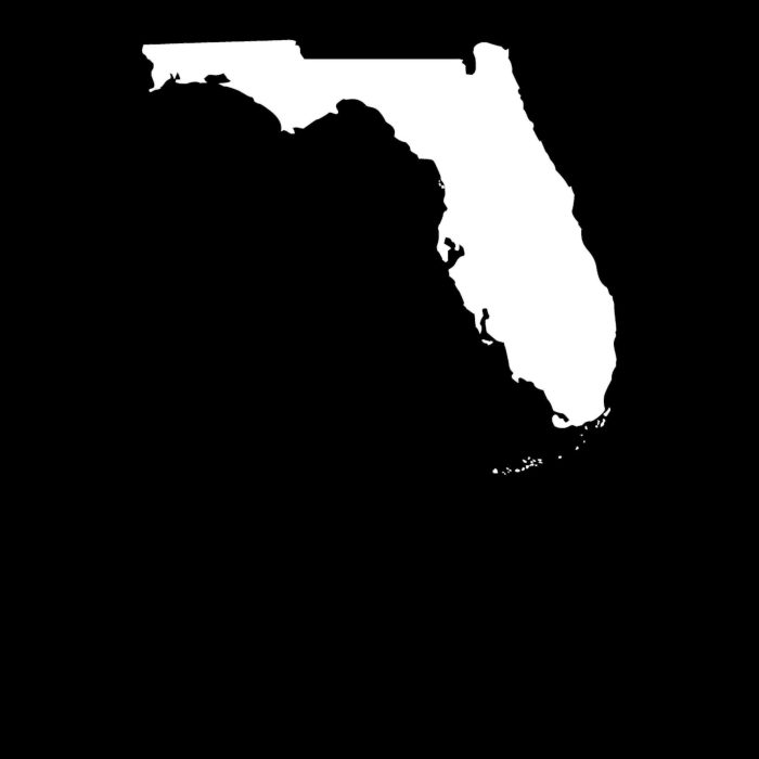 Florida - Custom Size - Up to 24 inches - Image 8