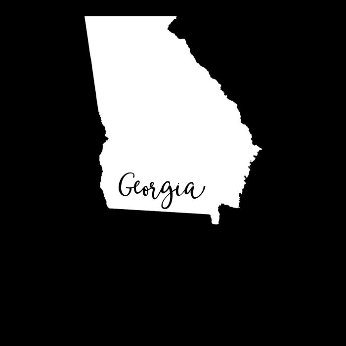 State of Georgia - Custom Size - Up to 24 inches - Image 8