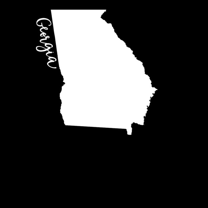 State of Georgia - Custom Size - Up to 24 inches - Image 9