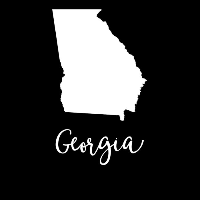 State of Georgia - Custom Size - Up to 24 inches - Image 10