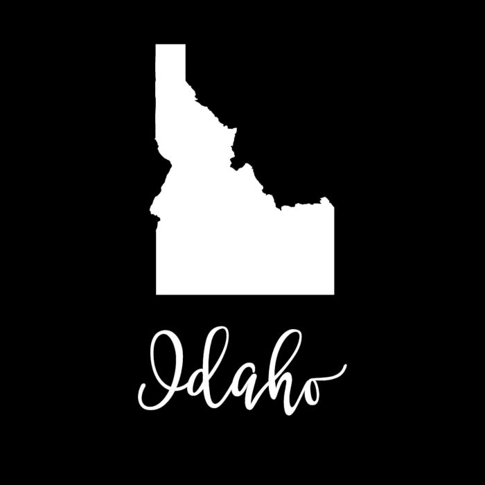 State of Idaho - Custom Size - Up to 24 inches - Image 9