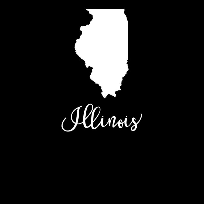 State of Illinois - Custom Size - Up to 24 inches - Image 8