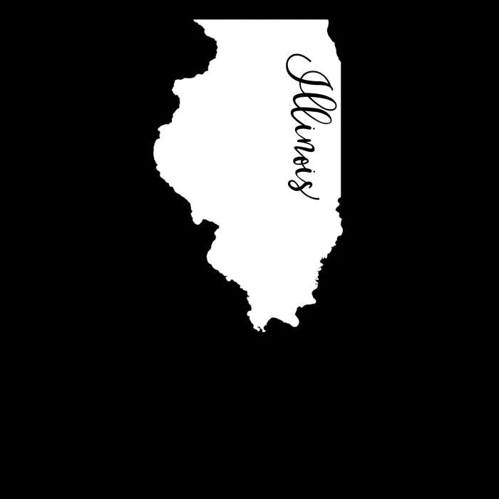 State of Illinois - Custom Size - Up to 24 inches - Image 10