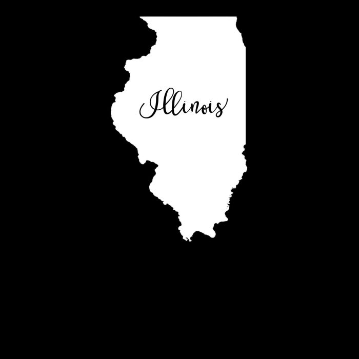 State of Illinois - Custom Size - Up to 24 inches - Image 9