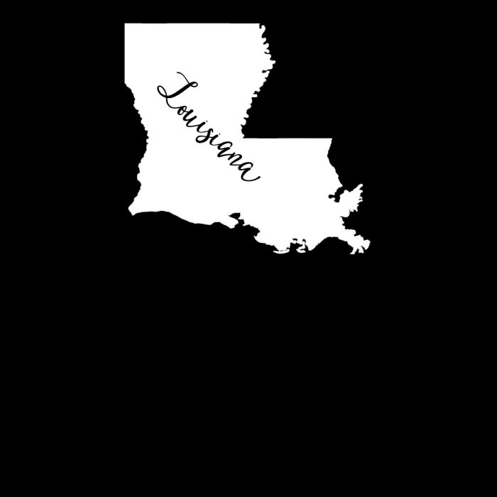 State of Louisiana Vinyl Decal - Custom Size - Up to 24 inches - Image 8