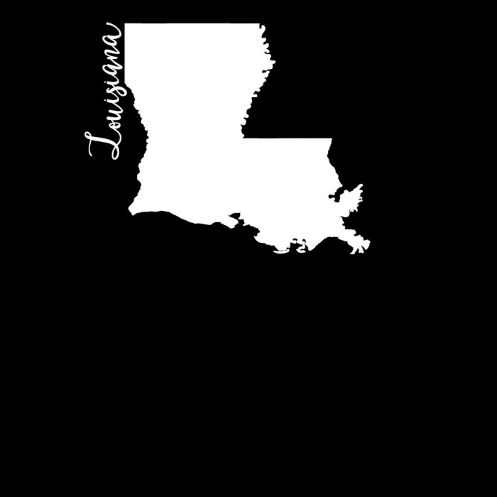 State of Louisiana Vinyl Decal - Custom Size - Up to 24 inches - Image 10