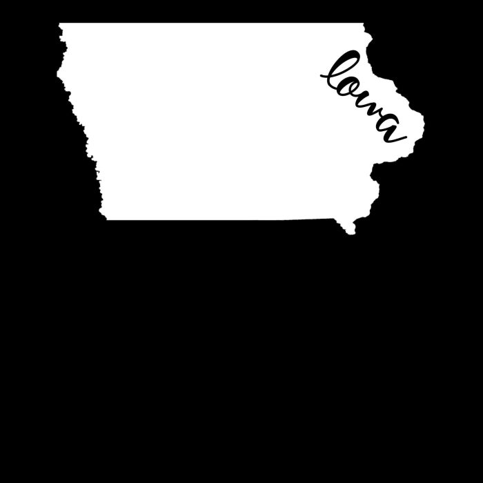 State of Iowa - Custom Size - Up to 24 inches - Image 10