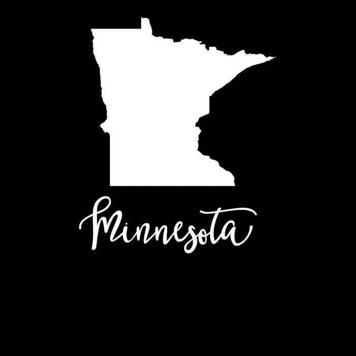 State of Minnesota Vinyl Decal - Custom Size - Up to 24 inches - Image 9