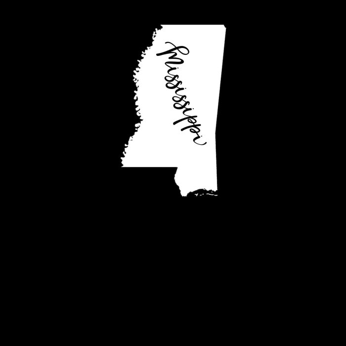 State of Mississippi Vinyl Decal - Custom Size - Up to 24 inches - Image 10