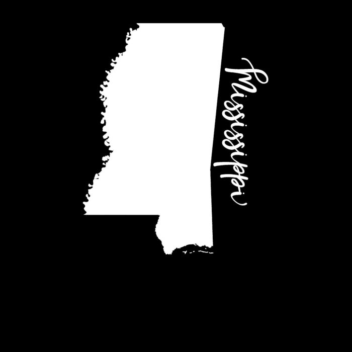 State of Mississippi Vinyl Decal - Custom Size - Up to 24 inches - Image 8