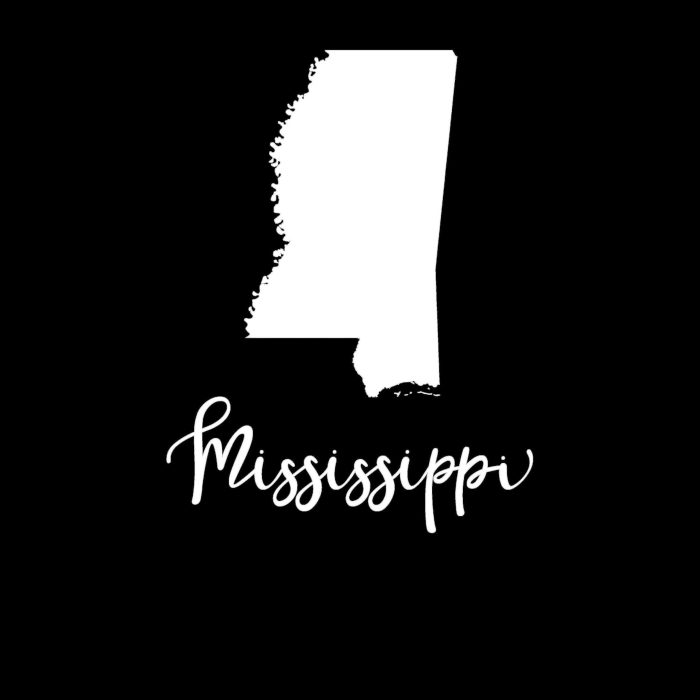 State of Mississippi Vinyl Decal - Custom Size - Up to 24 inches - Image 9