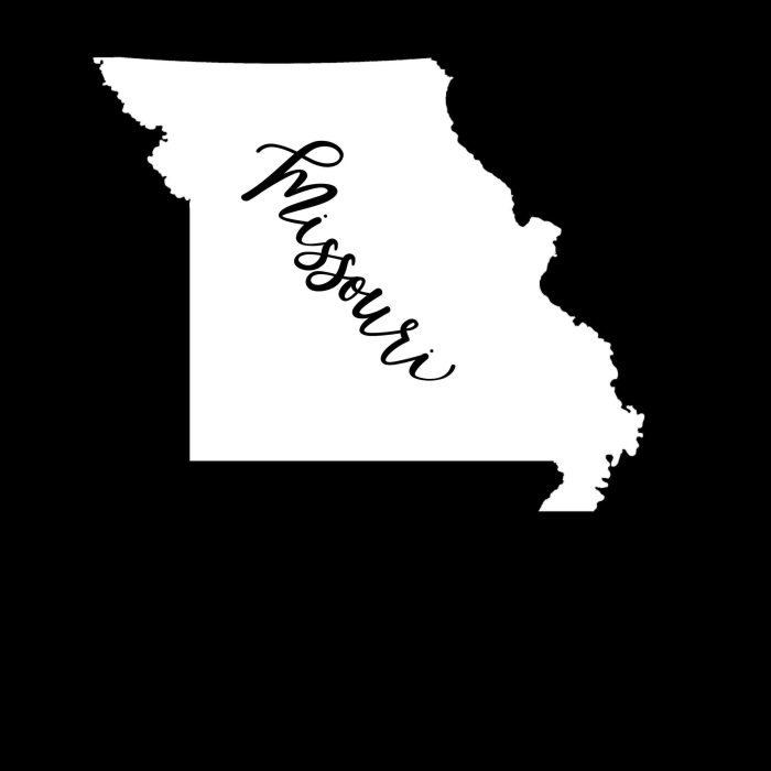 State of Missouri - Custom Size - Up to 24 inches - Image 8