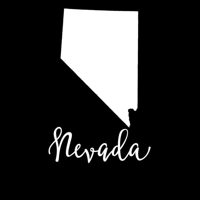 State of Nevada - Custom Size - Up to 24 inches - Image 9