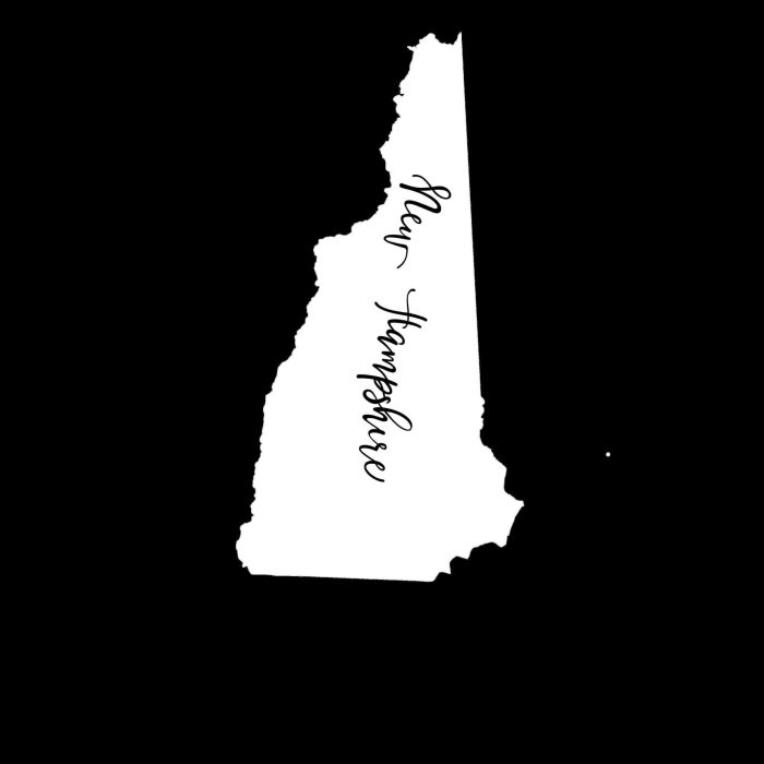 State of New Hampshire- Custom Size - Up to 24 inches - Image 10