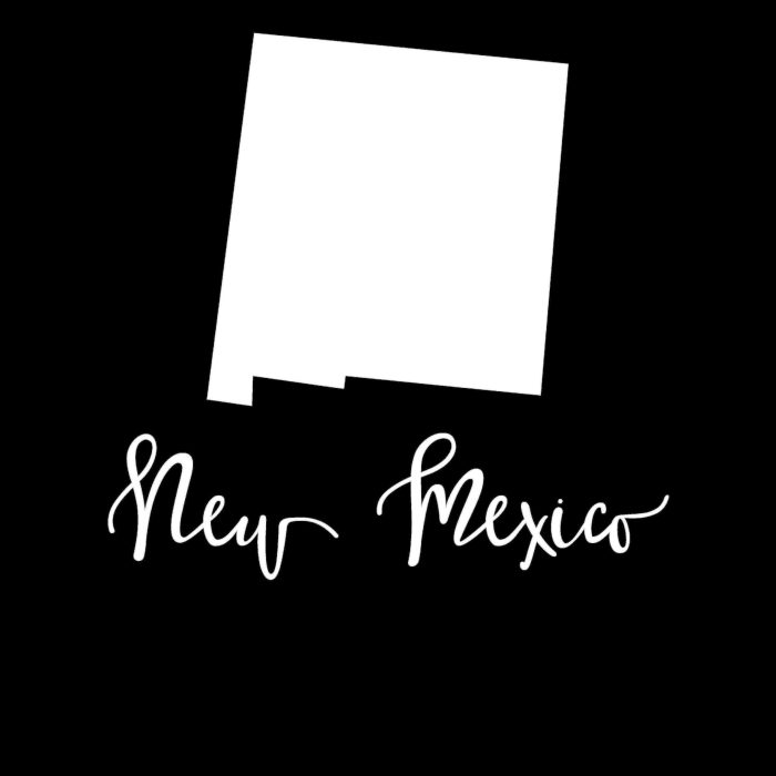 State of New Mexico - Custom Size - Up to 24 inches - Image 9