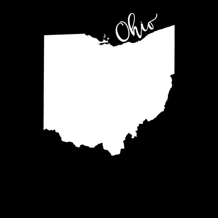 State of Ohio - Custom Size - Up to 24 inches - Image 8