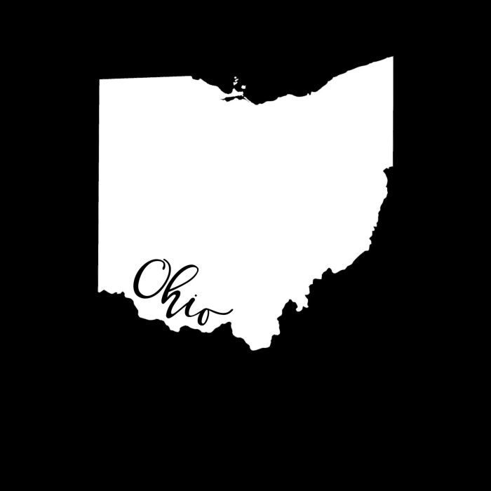 State of Ohio - Custom Size - Up to 24 inches - Image 10