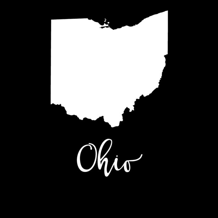 State of Ohio - Custom Size - Up to 24 inches - Image 9