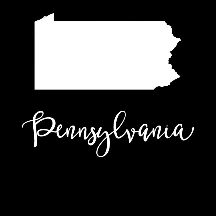 State of Pennsylvania - Custom Size - Up to 24 inches - Image 9