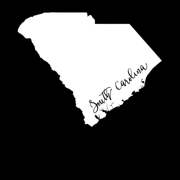 State of South Carolina - Custom Size - Up to 24 inches - Image 9