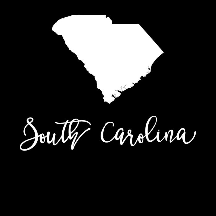 State of South Carolina - Custom Size - Up to 24 inches - Image 10