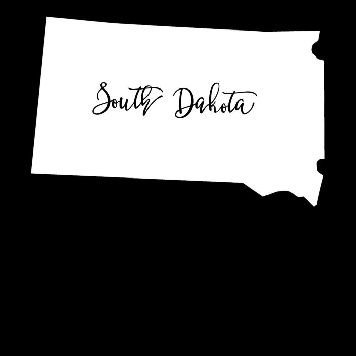 State of South Dakota - Custom Size - Up to 24 inches - Image 9