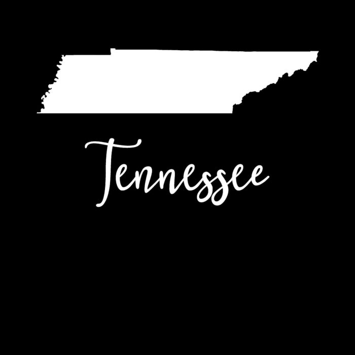 State of Tennesse - Custom Size - Up to 24 inches - Image 9