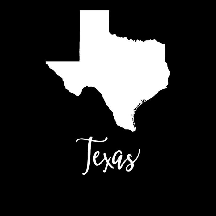 State of Texas - Custom Size - Up to 24 inches - Image 9