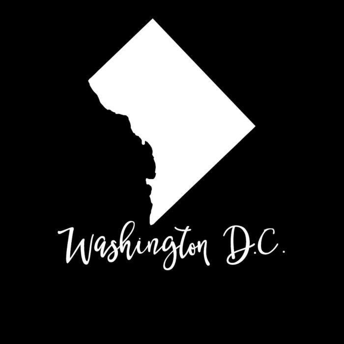 State of Washington D.C. - Custom Size - Up to 24 inches - Image 10