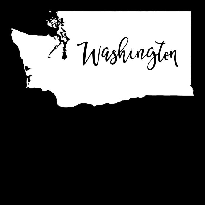 State of Washington - Custom Size - Up to 24 inches - Image 8