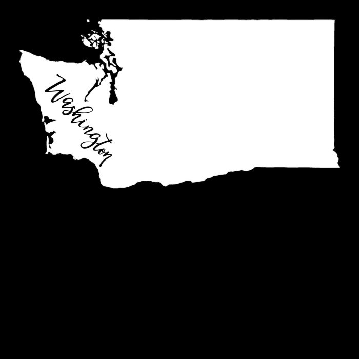 State of Washington - Custom Size - Up to 24 inches - Image 10