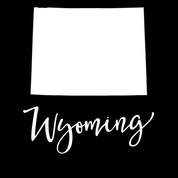 State of Wyoming - Custom Size - Up to 24 inches - Image 10