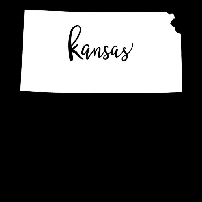 State of Kansas - Up to 24 inches - Image 8